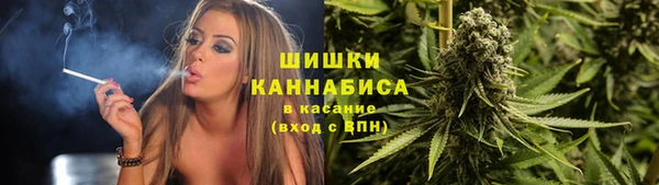 ПСИЛОЦИБИНОВЫЕ ГРИБЫ Аркадак
