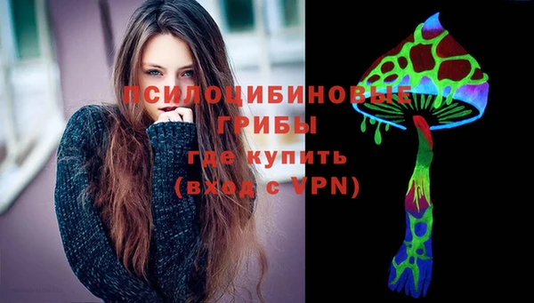 ПСИЛОЦИБИНОВЫЕ ГРИБЫ Аркадак