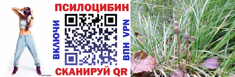 купить закладку Новодвинск Галлюциногенные грибы мухоморы