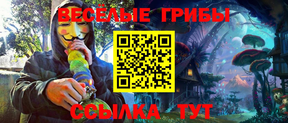 Галлюциногенные грибы MAGIC MUSHROOMS  магазин продажи наркотиков  Новодвинск  Вход с VPN 