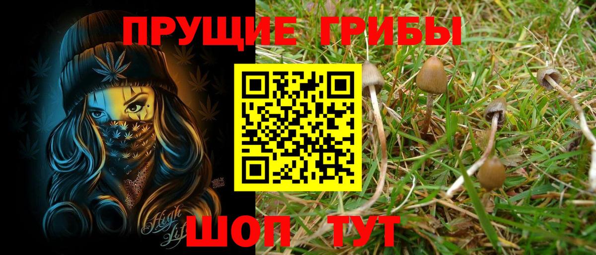 Галлюциногенные грибы GOLDEN TEACHER Новодвинск